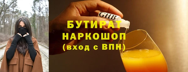 сатива Горняк