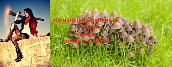 гидропоника Вязьма